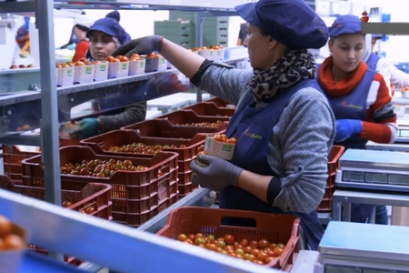 Vegetable quality control (Spain)
